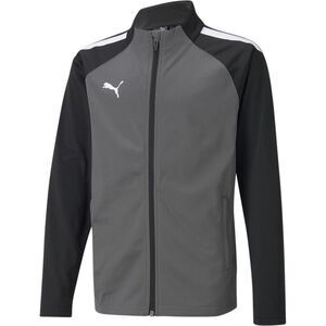 Puma Childrens/Kids Team Liga Training Tracksuit Top / Gray